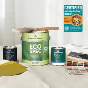 Eco-Friendly Painting in NYC: The Rise of Sustainable and Non-Toxic Paints